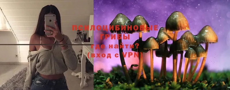 Галлюциногенные грибы MAGIC MUSHROOMS  Соликамск 